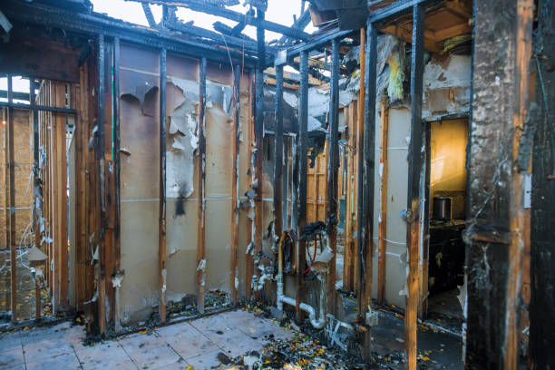 Professional Fire Damage Removal technician working in Pocomoke City, MD